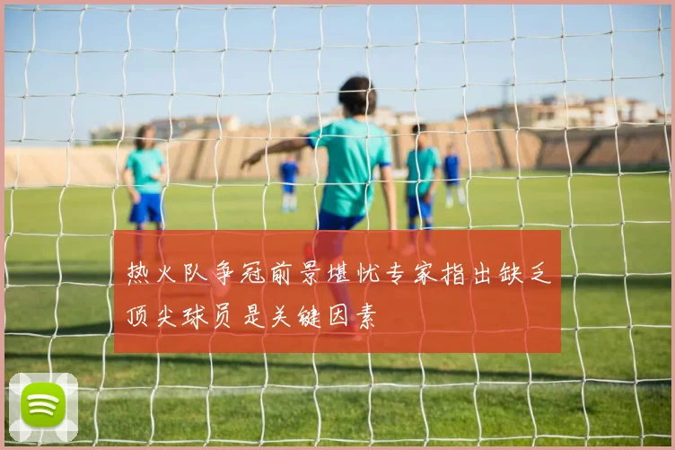 热火队争冠前景堪忧专家指出缺乏顶尖球员是关键因素