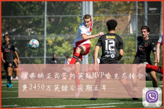 埃弗顿正式签约英冠MVP哈克尼转会费2450万英镑合同期五年